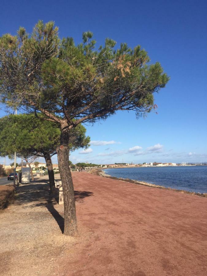 La Scribote Daire Marseillan  Dış mekan fotoğraf